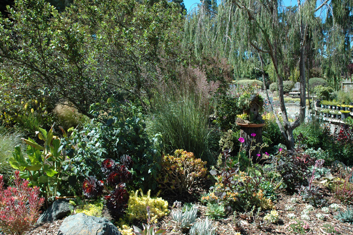 Cambria and Cayucos 020.jpg